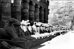 Vädurs-sfinxar som allé till Amon-Res tempel, Karnak, Egypten