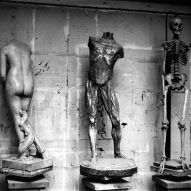 Tre anatomiska modeller, Konstfackskolan (1953)