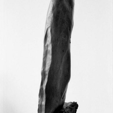 ‘Självbild‘, brons, höjd 66 cm, 1963.
